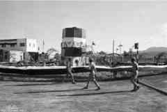 ���� ������ ��� ��� ����